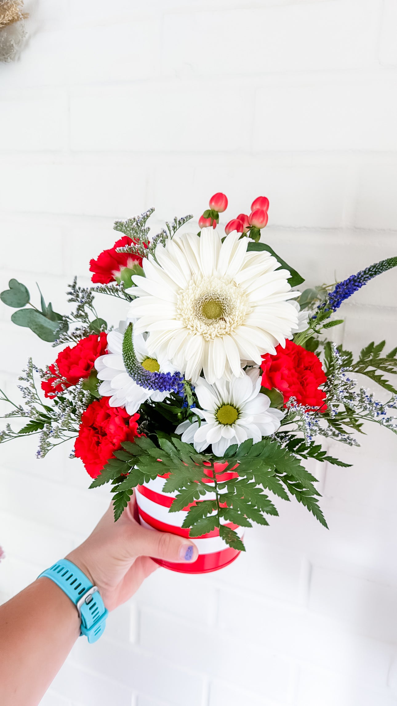 Freedom Arrangement