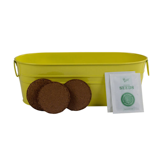 Pollinator Windowsill - Coneflower & Black-Eyed Susan Vine