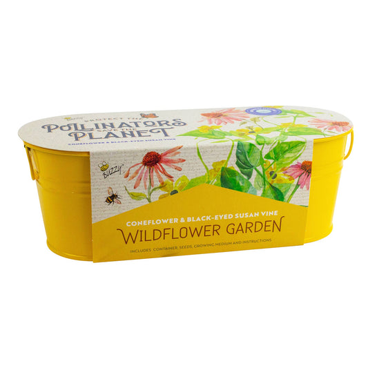 Pollinator Windowsill - Coneflower & Black-Eyed Susan Vine