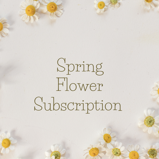 Spring Flower Subscription