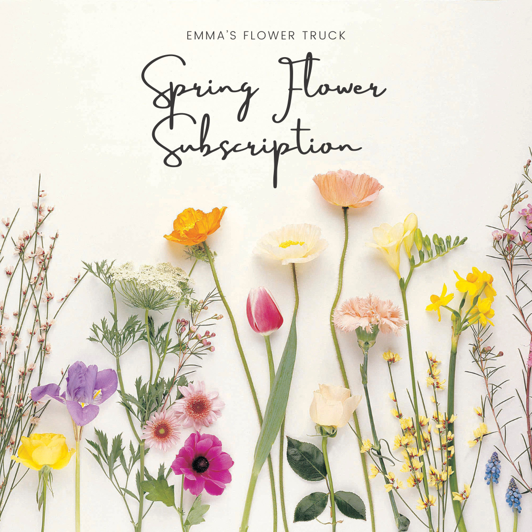 Spring Flower Subscription