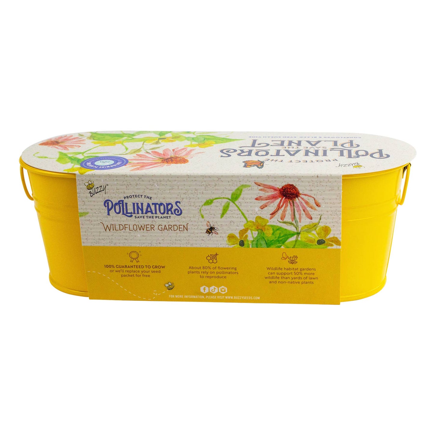 Pollinator Windowsill - Coneflower & Black-Eyed Susan Vine