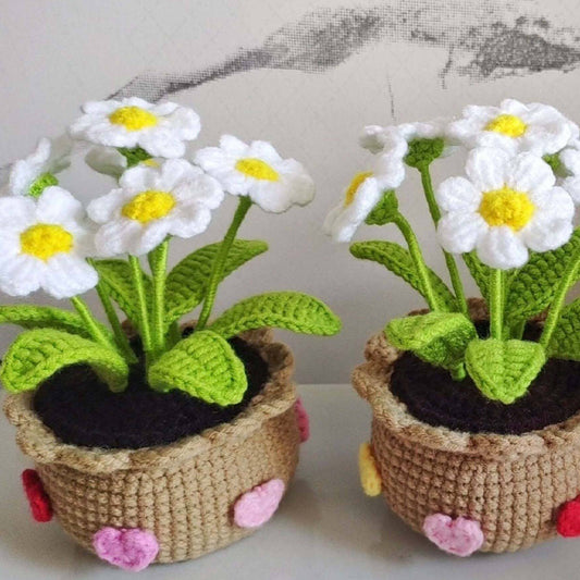 Handmade Crochet Daisy Flower Pot