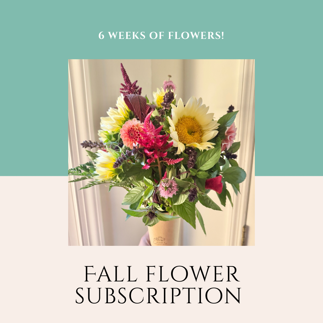 Fall Flower Subscription (6 Weeks)