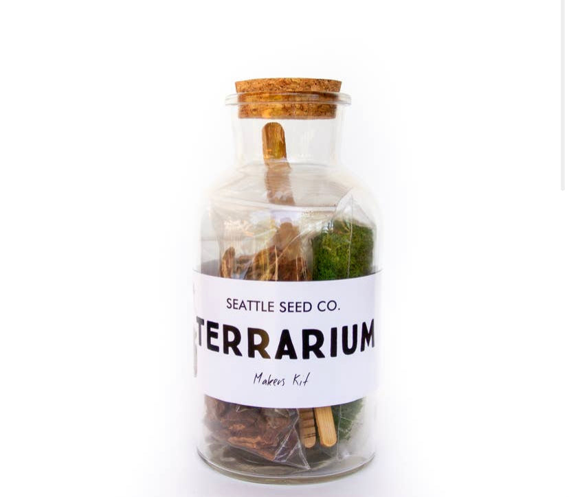 DIY Terrarium Kit