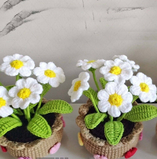 Handmade Crochet Daisy Flower Pot